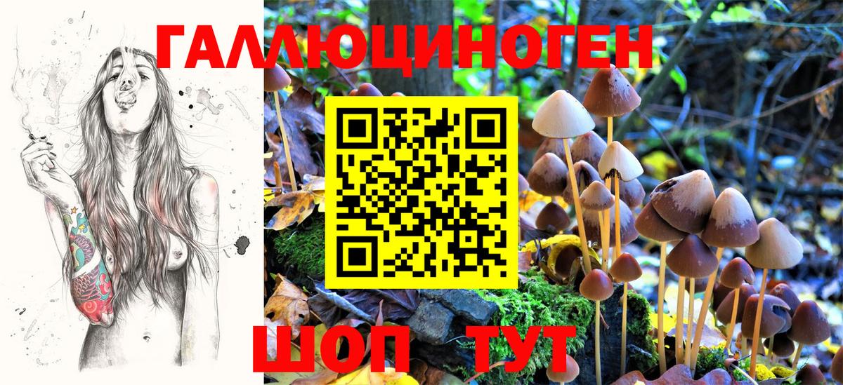 Псилоцибиновые грибы прущие грибы Нурлат